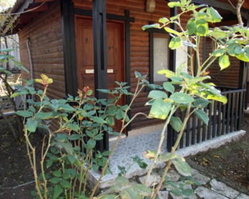 Koala Bungalows - Олимпос - фото 14