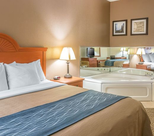 Comfort Inn Kalamazoo