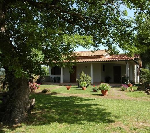 Agriturismo San Vincenzo
