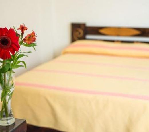 Hotel Villa De Leon