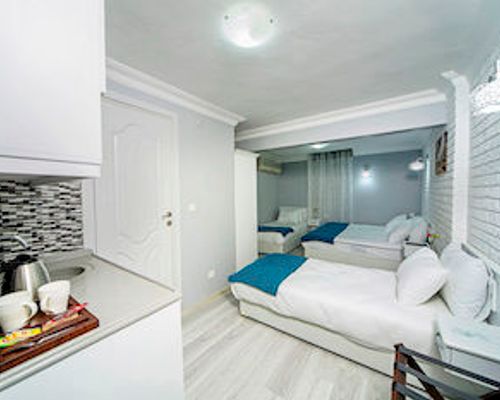 Taksim Unique Suites - Стамбул - фото 7