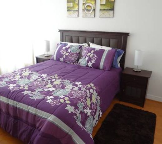 Rent Apartment Providencia
