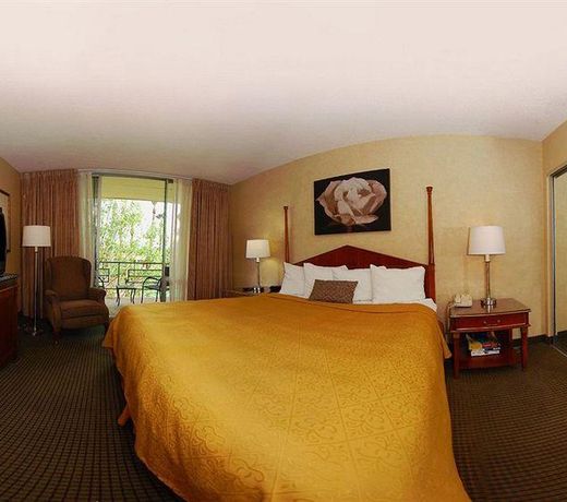 QUALITY INN & SUITES DOWNTOWN