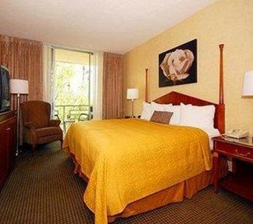 QUALITY INN & SUITES DOWNTOWN