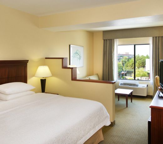 Hampton Inn Phoenix Airport North