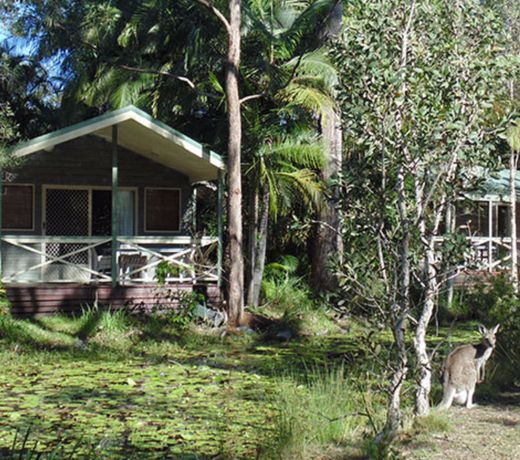 NRMA Darlington Beach Holiday Resort