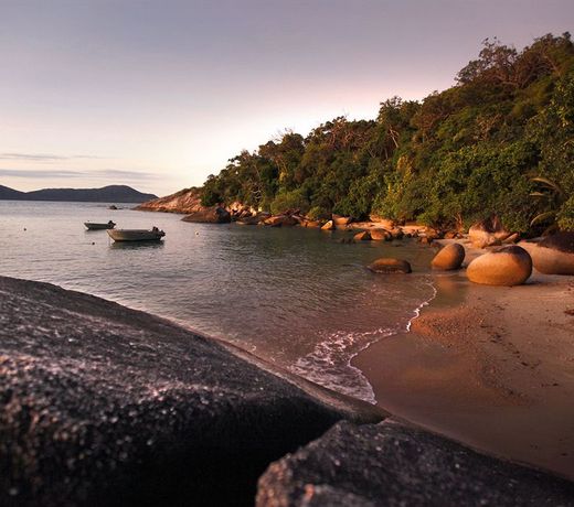 East Bedarra Island Retreat