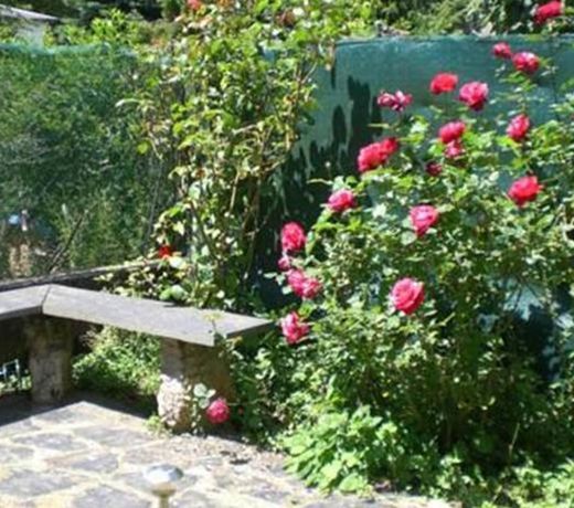 GÃ®te "les hortensias" au coeur de Lacaune