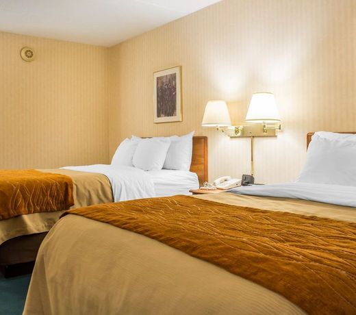 Comfort Inn Binghamton I-81
