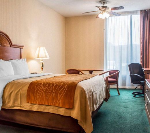 Comfort Inn Binghamton I-81