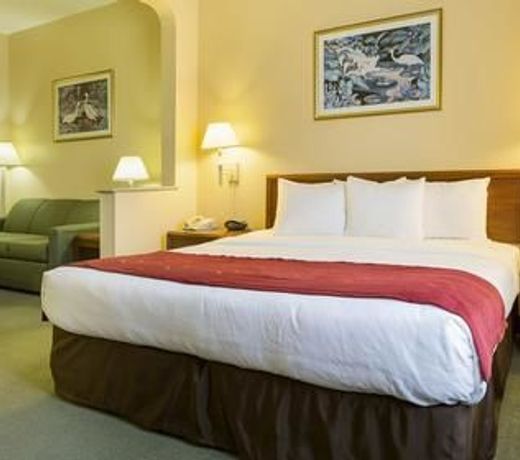 Comfort Suites La Porte