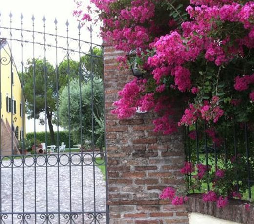 Agriturismo Corte Capiluppia
