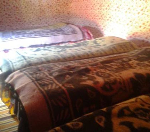 SAHARA CAMELS CAMP