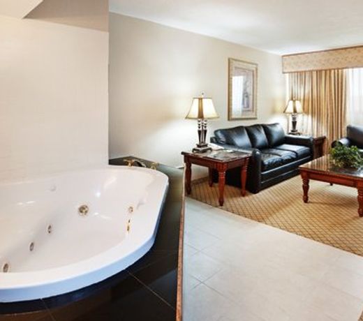 Holiday Inn Johnson City, an IHG Hotel
