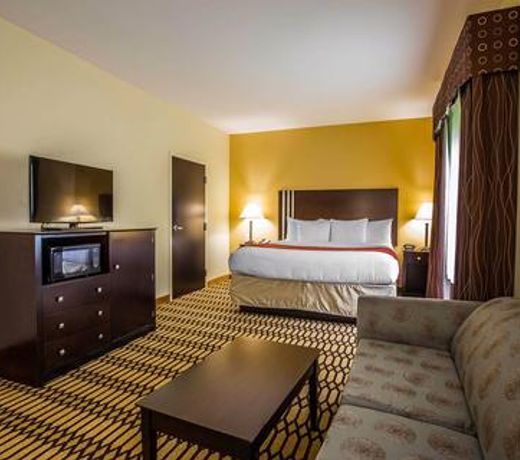 Comfort Suites Simpsonville