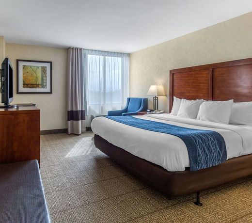 Comfort Inn Conference Center Bowie