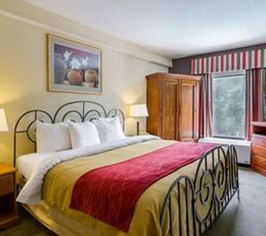 Quality Suites Altavista â Lynchburg South