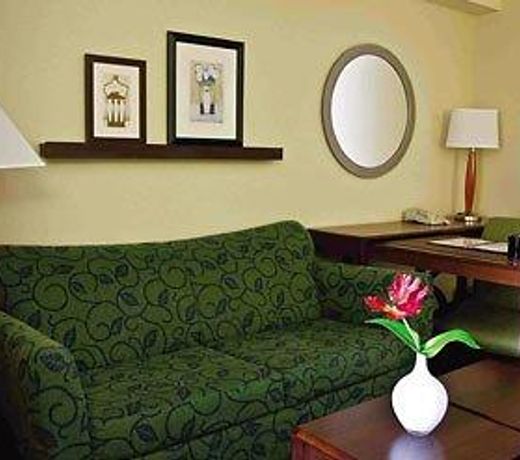 SpringHill Suites by Marriott Chicago SW Burr Ridge/Hinsdale
