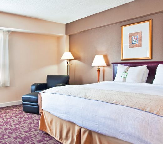 Holiday Inn Rolling Meadows - Schaumburg Area