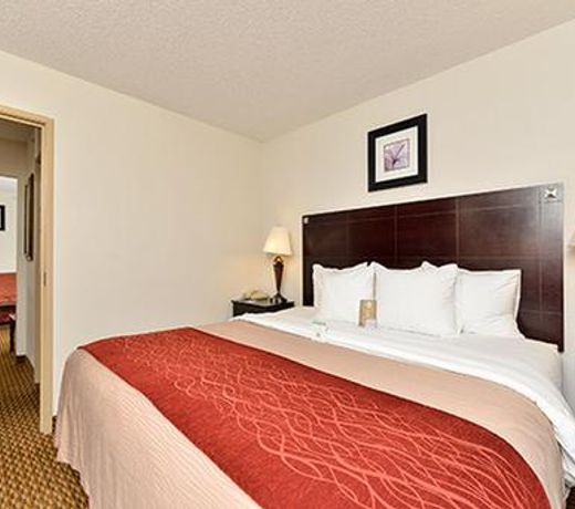 Comfort Inn & Suites Cambridge