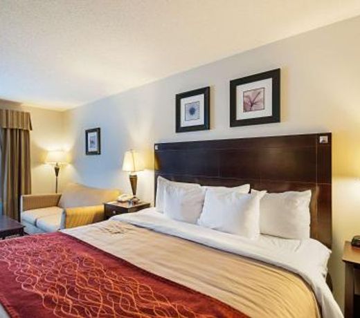 Comfort Inn & Suites Cambridge