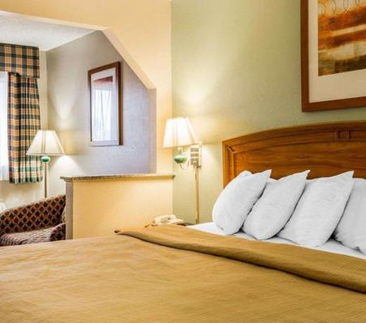Quality Inn & Suites Dublin