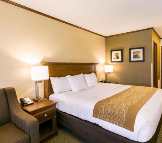 Comfort Inn Sedalia Station