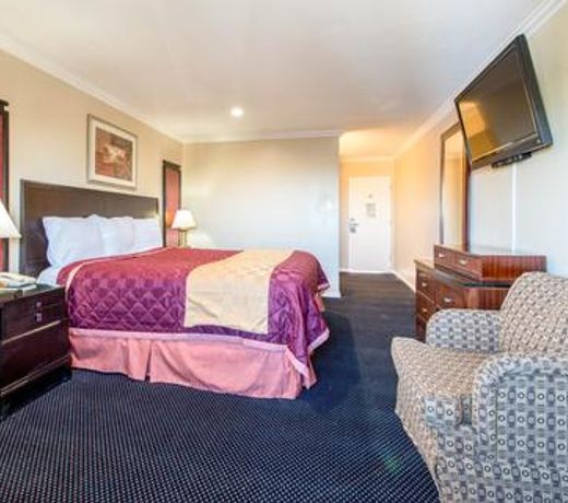 Queencity Inn