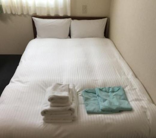 Hotel Green Palace