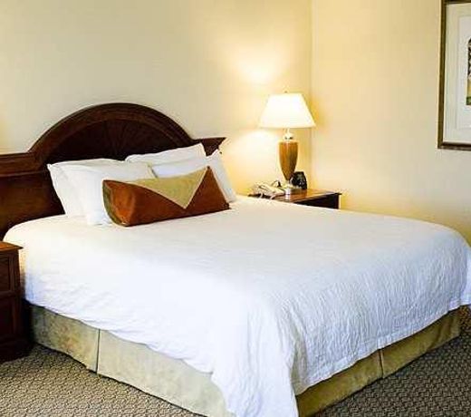 Hilton Garden Inn Suffolk Riverfront
