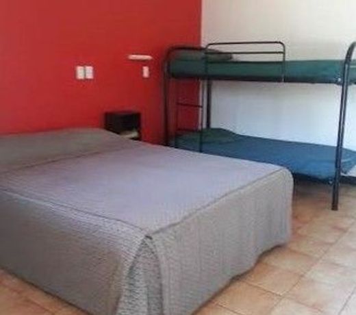 Palm Court Backpackers