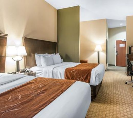 Comfort Suites Vestal near University
