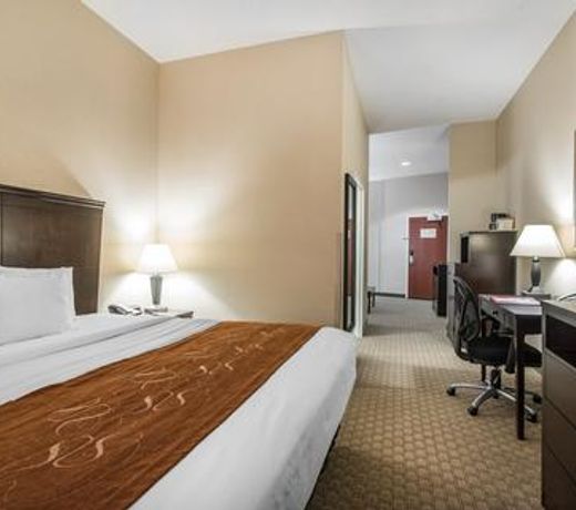Comfort Suites Vestal near University