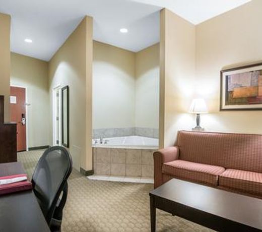 Comfort Suites Vestal near University