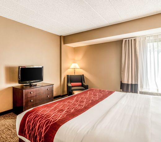 Comfort Inn Convention Center-Chicago Oâhare Airport