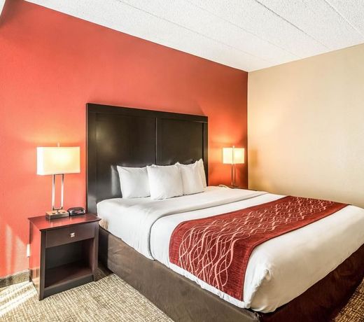 Comfort Inn Convention Center-Chicago Oâhare Airport