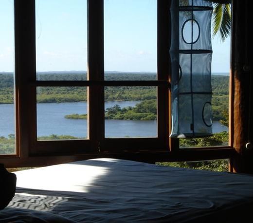 Eco Rainforest House