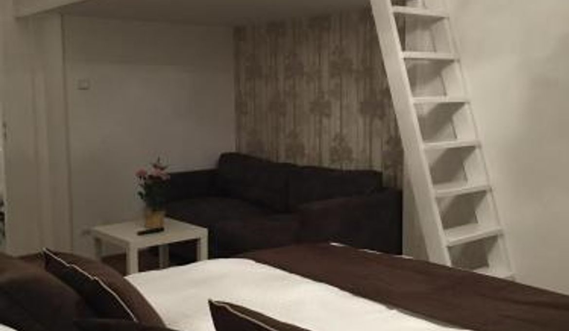 Beautiful Apartments in Prague