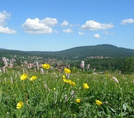 Harzpension Haus KÃ¶nigskopf
