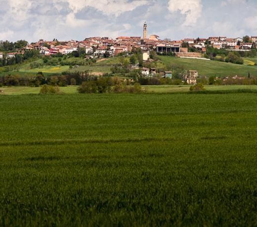 DI SPINETO