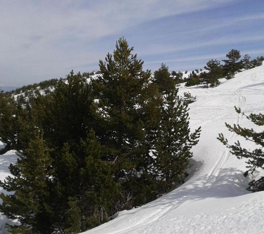 Apartment Face Aux Pistes