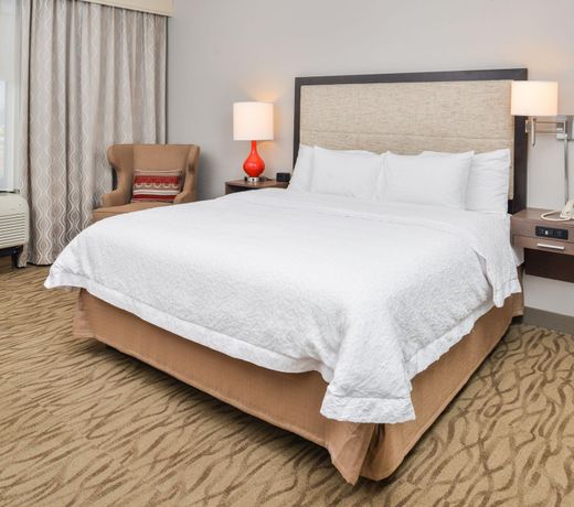 Hampton Inn Gonzales