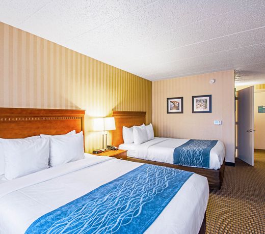 Comfort Inn Arlington Boulevard