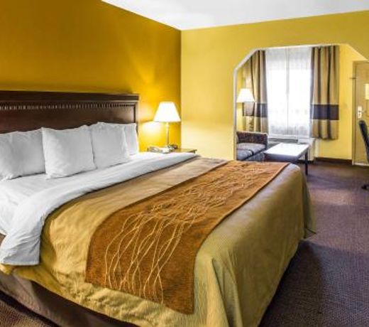 Comfort Inn Forsyth I-75