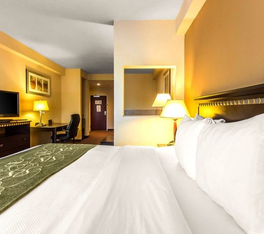 Comfort Suites Forsyth near I-75
