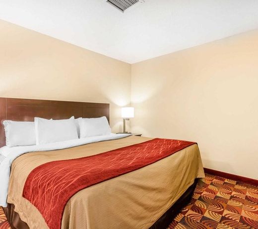 Comfort Inn & Suites Jasper Hwy 78 West