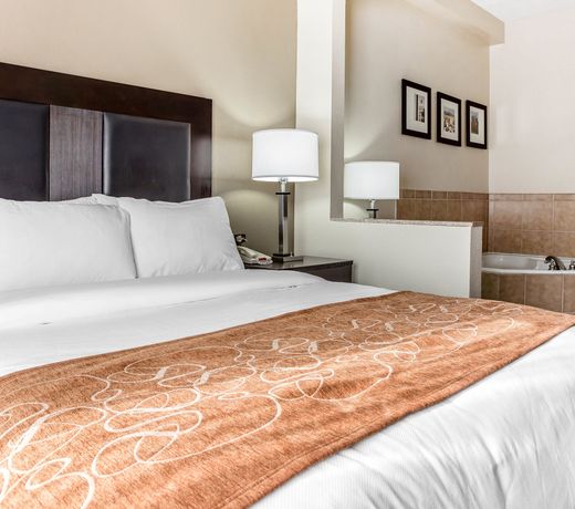 Comfort Suites Morrow- Atlanta South