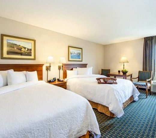 Hampton Inn Hotel Atlanta-Southlake