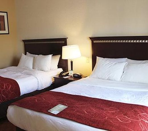 Comfort Suites Salem-Roanoke I-81