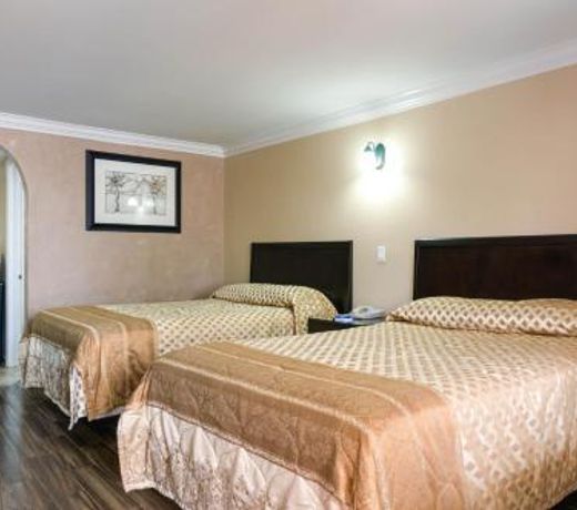 Sky Palm Motel - Orange